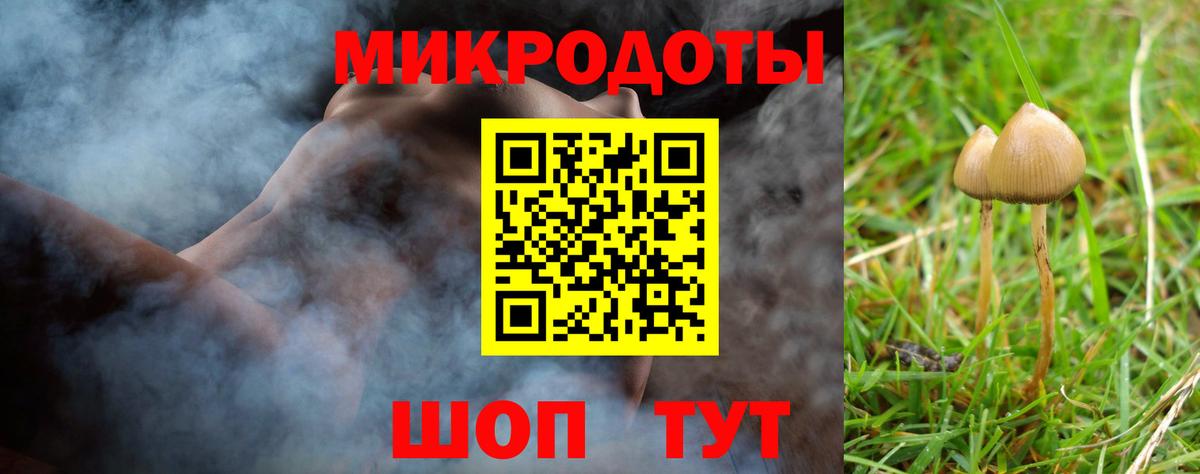 наркота  Вход с VPN  Советская Гавань  Галлюциногенные грибы прущие грибы  Псилоцибиновые грибы ЛСД 
